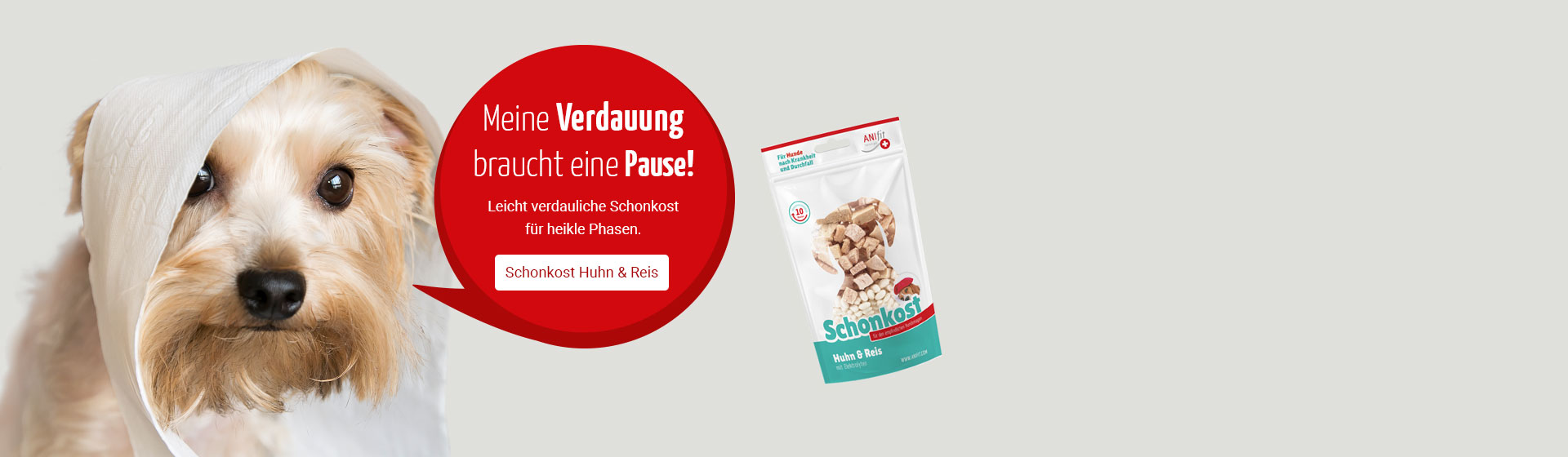 Schonkost
